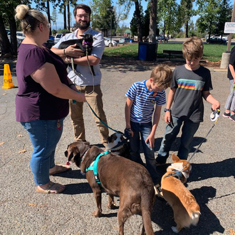 A group of adults and children stand outside on a sunny day with several leashed dogs interacting on a paved area in a park.